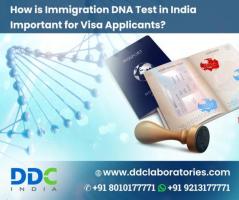 DNA Test for South Africa Immigration: Ensuring Accurate and Dependable Family Relations