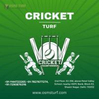 Best Cricket Turf in Delhi: Perfect for Clubs and Academies 