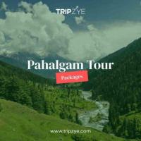 pahalgam holiday packages