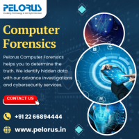 Computer Forensics Services 