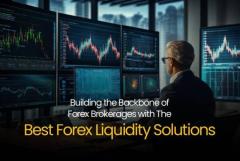 Get the Best Forex Liquidity Solutions at YaPrime 