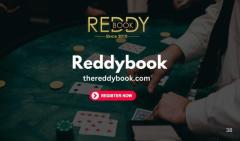 Reddybook: Your Gateway to Ultimate Online Gaming