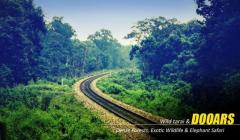 Dooars Tour Packages from Kolkata: Explore Tea Gardens, Forests, and More