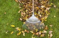 Fall Cleanup Landscaping Services