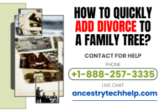 How To Quickly Add Divorce To A Family Tree?