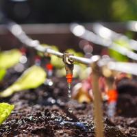 Micro Irrigation