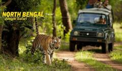 North Bengal Package: Why It’s a Must-Visit Destination