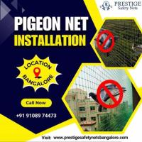 Say Goodbye to Pigeon Problems with Prestige Safety Nets in Bangalore!