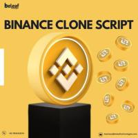 How Different Cryptocurrencies Are Handled by the Binance Clone Script