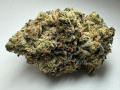 Buy Apple Fritter Strain Online