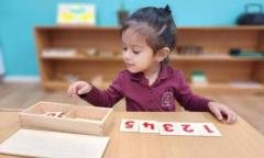 Montessori Toddler Curriculum: Fostering Early Childhood Development