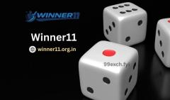 Winner11: Play, Win, and Dominate the Game