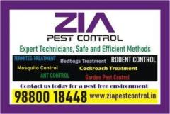 Zia Pest control | Pest Cleaning | Upto 40% Off  | white Field Bangalore | 4094