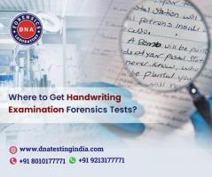 Choose Us for the Accurate Handwriting Examination Test