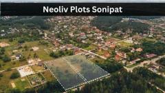 Neoliv Plots Sonipat: Investment Opportunity in Haryana