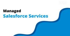 Are You Looking for Managed Services for Salesforce? Discover 360 Degree Cloud Solutions