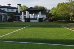 Synthetic grass in Katy