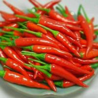 Wholesale  Seeds Bird's Eye Chili Seeds Organic Thai Chili Pepper Seed