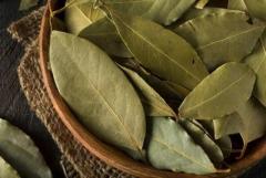 Wholesale dried bay leaves Organic Bay Leaves Hoja De Laurel - Dried Laurus Nobilis whole Ideal for 