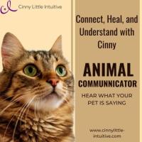 Expert Animal Communicator USA – Understand Your Pet’s Needs