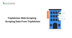 TripAdvisor Web Scraping