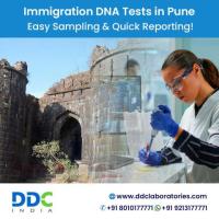 Immigration DNA Tests in Pune: Authentic and Legally Admissible Testing Solutions