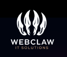 Expert Webflow Development Agency in USA : Expert Solutions