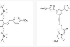 Key Factors in ADC Linker Chemistry - Enhancing Drug Efficacy – Precise PEG