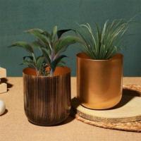 Modern Pots & Planters | Stylish Green Solutions by Dusaan