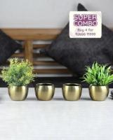 Stylish Metal Planters | Perfect for Indoor and Outdoor Décor by Dusaan