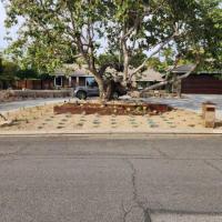 Landscaping Services in Riverside