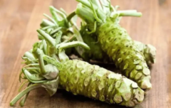  Growing Wasabi Seeds: 150 plant seeds