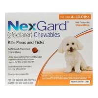 Nexgard for Dogs - Flea Tick Treatment | Starts at $34.39 - CanadaVetExpress