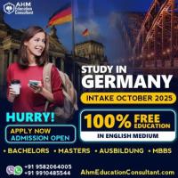 best consultant for germany in delhi