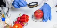 Food Quality Control Jobs 