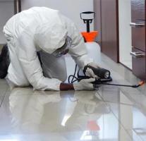 Professional Pest Control Company Near Me | Jay Lokenath Pest Control