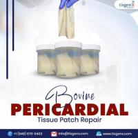 Bovine Pericardial Tissue Patch Repair