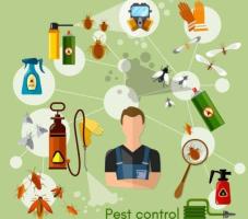 Fumigation and Pest Management Services