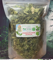 Wholesale  Dried Gymnema Sylvestre Leaf Tea 