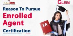 Enrolled Agent Coaching 