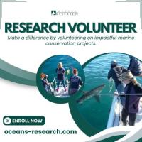 Research Volunteer