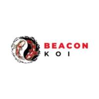 Beacon koi Ltd