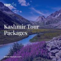 kashmir tour packages