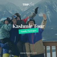 kashmir family tour packages