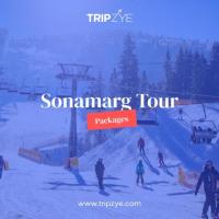 sonmarg holiday packages