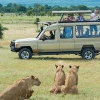 Creating Unforgettable Family Safari Experiences in Africa